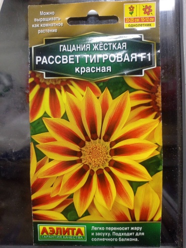 Аэлита гацания Жёсткая Рассвет Тигровая краснаяF1