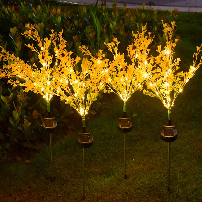 Фото 2
