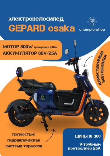 Champion shop Gepard Osaka AN1 16 дюйм 2026 one size синий
