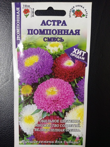 Золотая сотка Алтая астра Помпонная смесь
