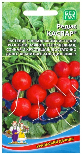 Уральский дачник редис «Каспар»