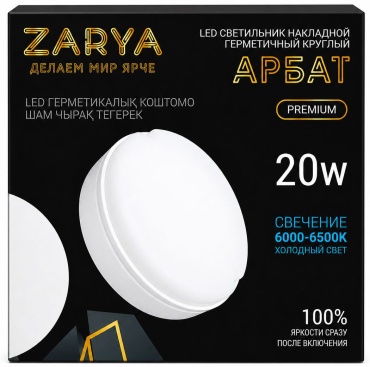 Светильник настенно-потолочный Zarya LED 20 Вт белый