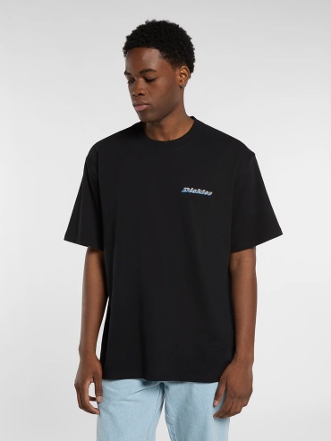 Футболка Dickies черный