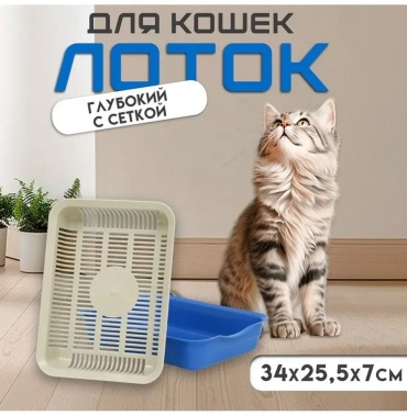 Лоток с бортиком бежевый