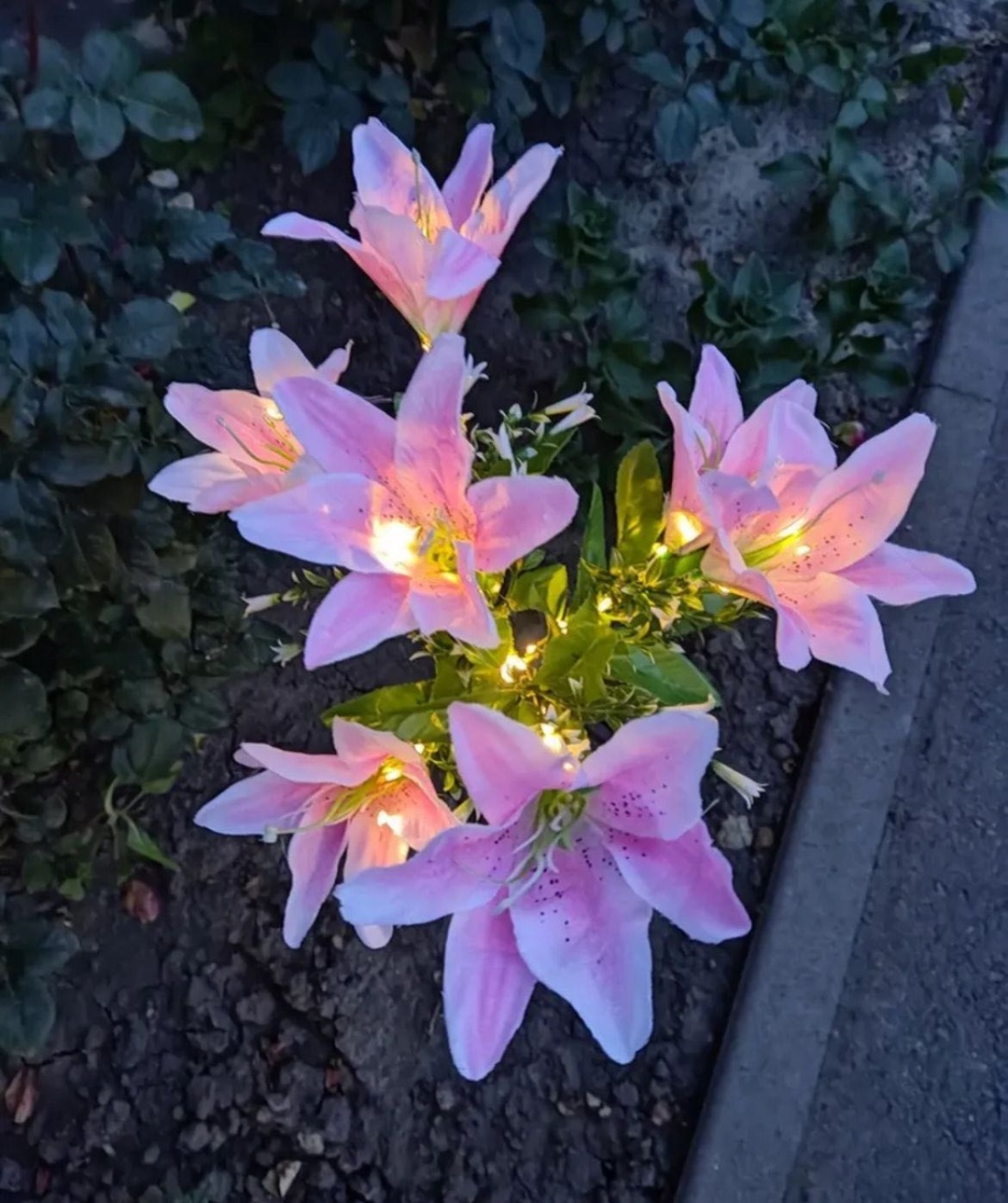 Фото 6