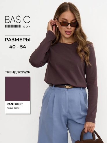 Лонгслив Basic look коричневый
