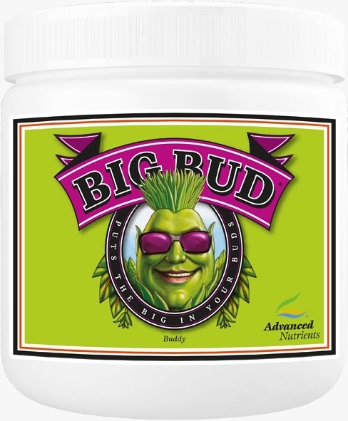 Big Bud Powder Bloom Booster 1 kg (Advanced Nutrients)