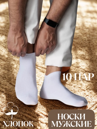 Носки Rashel 10 пар белый 38-44