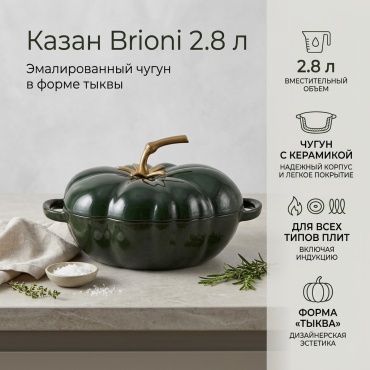 Казан Brioni 2.8 л, чугун