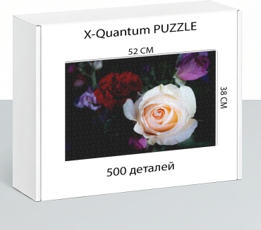 X-Quantum puzzle_y91ec9891c классический 500 деталей