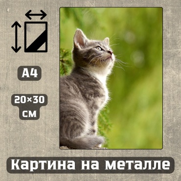 Sequoia VERS картина Картина на металле а4 Дыхание природы 20*30см 20x30 см