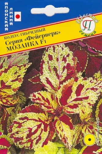 Престиж колеус Фейерверк мозаика F
