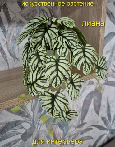 Цветок Dekart лиана 17 см, Liana-Dek