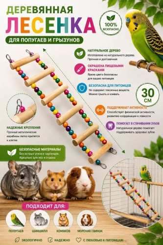 Лестница для самостоятельных игр, дерево