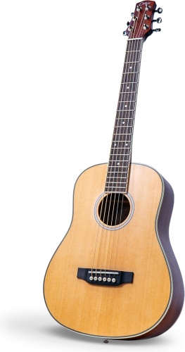 Гитара акустическая BLACKSTAR Carry-On Mini Acoustic Guitar BA217010 коричневый