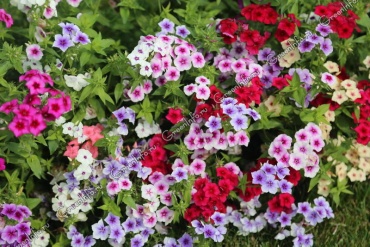 Фото 2