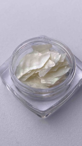 Lilu ракушечник Shell decor 01 1 шт