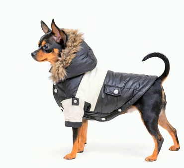 Pet Fashion куртка К6 коричневый S
