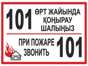 Знак Табличка при пожаре звонить 101 19.5x9.5 см