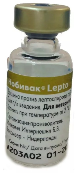 Вакцина MSD Нобивак Lepto инъекции