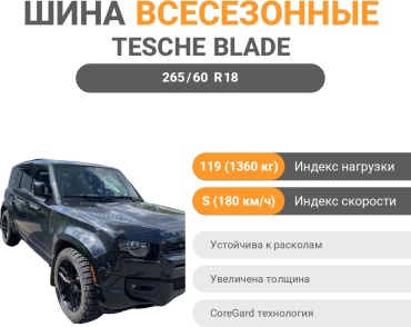 TESCHE Ridge Blade X/T 265/60 R18 119S