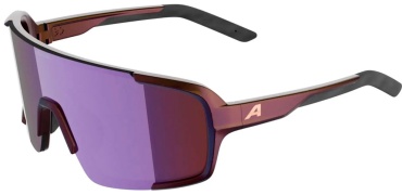 Alpina Alpina очки солнцезащитные Lumin/A8767352 черный