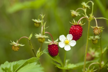 Фото 9