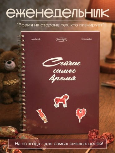 Планировщик бюджета BlossomPlan 568172971, A5, 60 л, красный