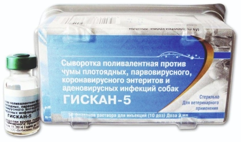 Вакцина Ветбиохим Гискан-5 против инфекций собак сыворотка 1 ампула