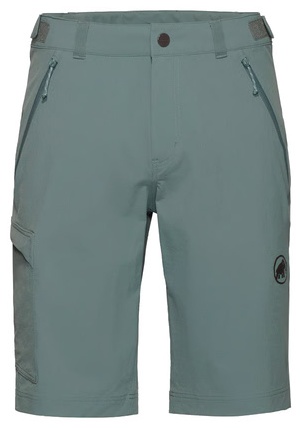 Спортивные шорты Mammut серый