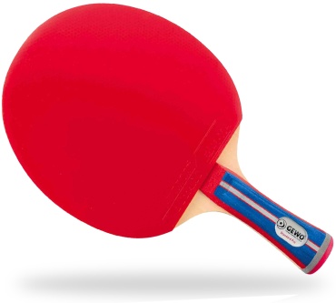 Ракетка для настольного тенниса GEWO Bat Standard Pro