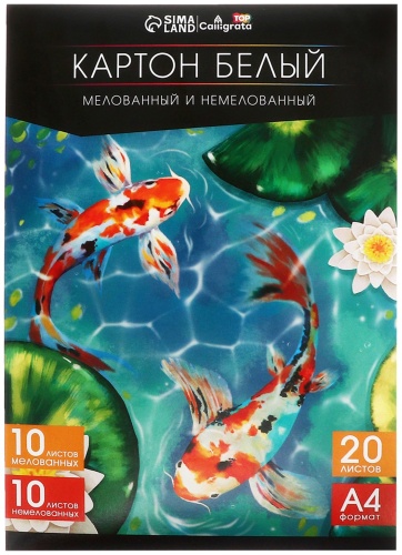 Белый картон Calligrata 9594012, мелованный, немелованный А4, 20 л
