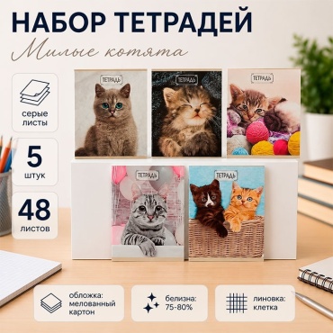 Набор общих тетрадей Calligrata Милые котята, 48 л, А5+, клетка, мягкая обложка, 5 шт
