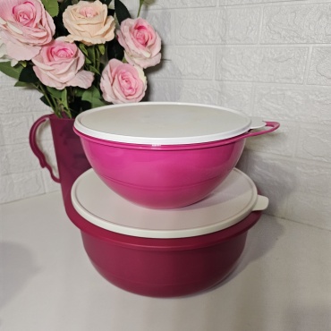 Набор мисок Tupperware Милиан, Профи 34.7х34.7 см, полипропилен, 2 шт