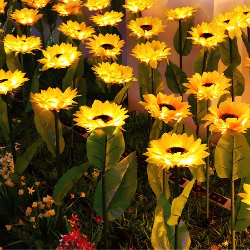 Фото 6