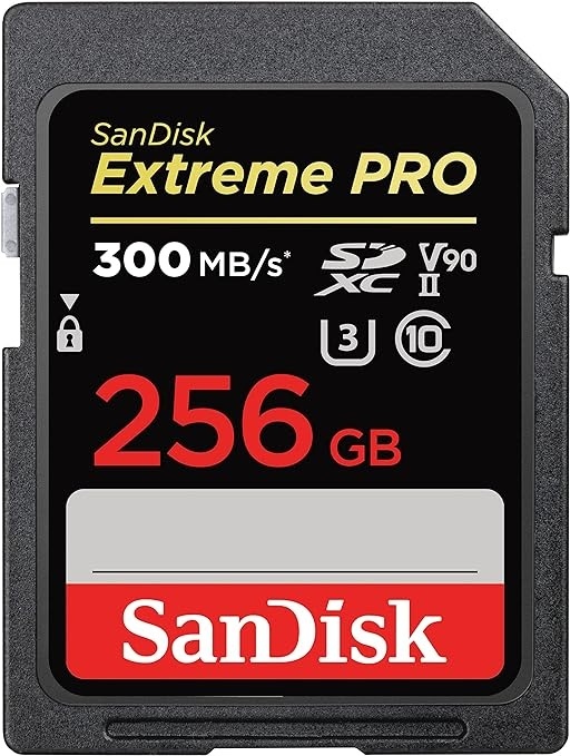 Карта памяти SanDisk Sandisk Extreme Pro UHS-II V90 SDSDXDK-256G-GN4IN 256 Гб