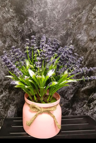 Фото 3