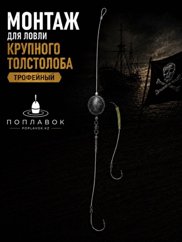 Оснастка 30030903_снась на толстолобика монтаж трофейный POPLAVOK 20 см