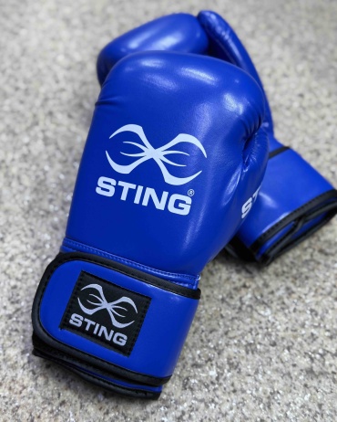 Боксерские перчатки STING 12 oz синий