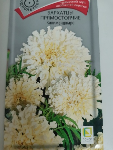 Поиск бархатцы Килиманджаро