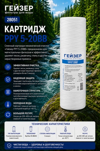 Гейзер картридж на магистральный фильтр 28051 1 шт