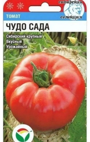 Сибирская селекция томат Чудо сада