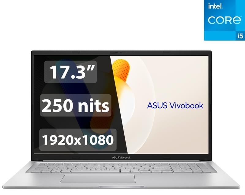 Ноутбук ASUS X1704VAP AU1078R 15.6" / 16 Гб / SSD 1000 Гб / Win 11 / 90nb13x1-m0rl70