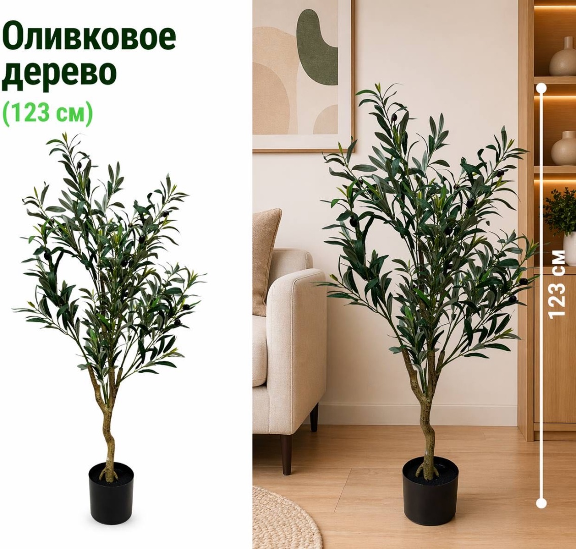 Дерево оливковое дерево 123 см, 30356770_255497184