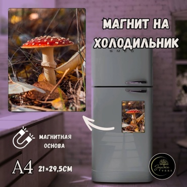 Sequoia VERS магнит-сувенир Дыхание природы. природа, леса. А4 1 шт