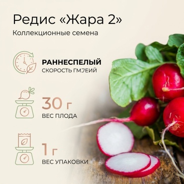 Редис Коллекционные семена редиса Жара 2