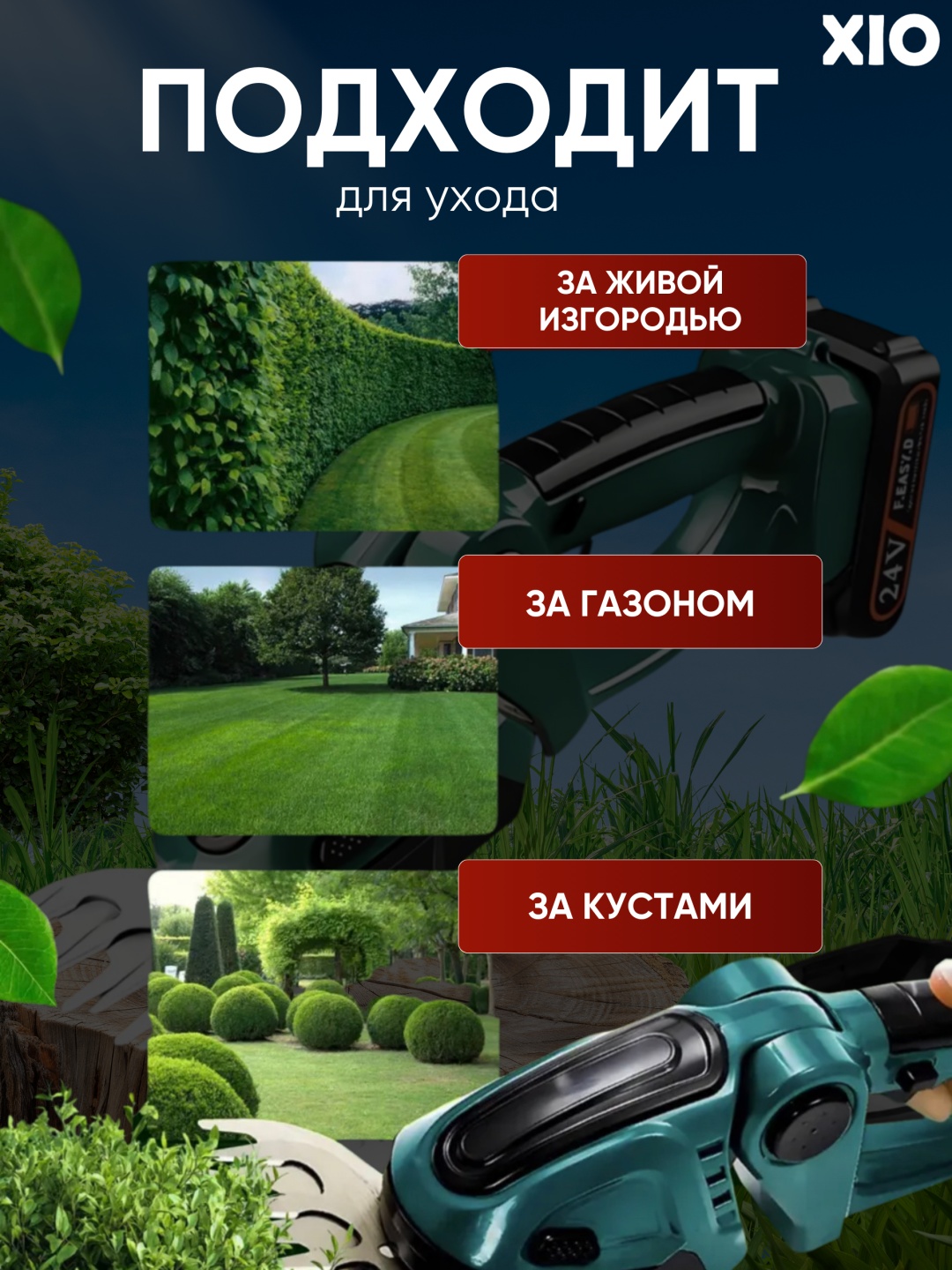 Фото 3