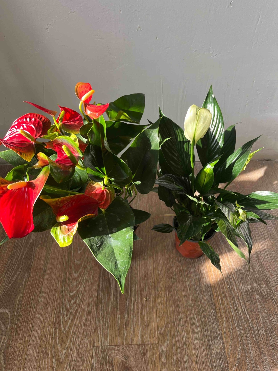 Фото 5