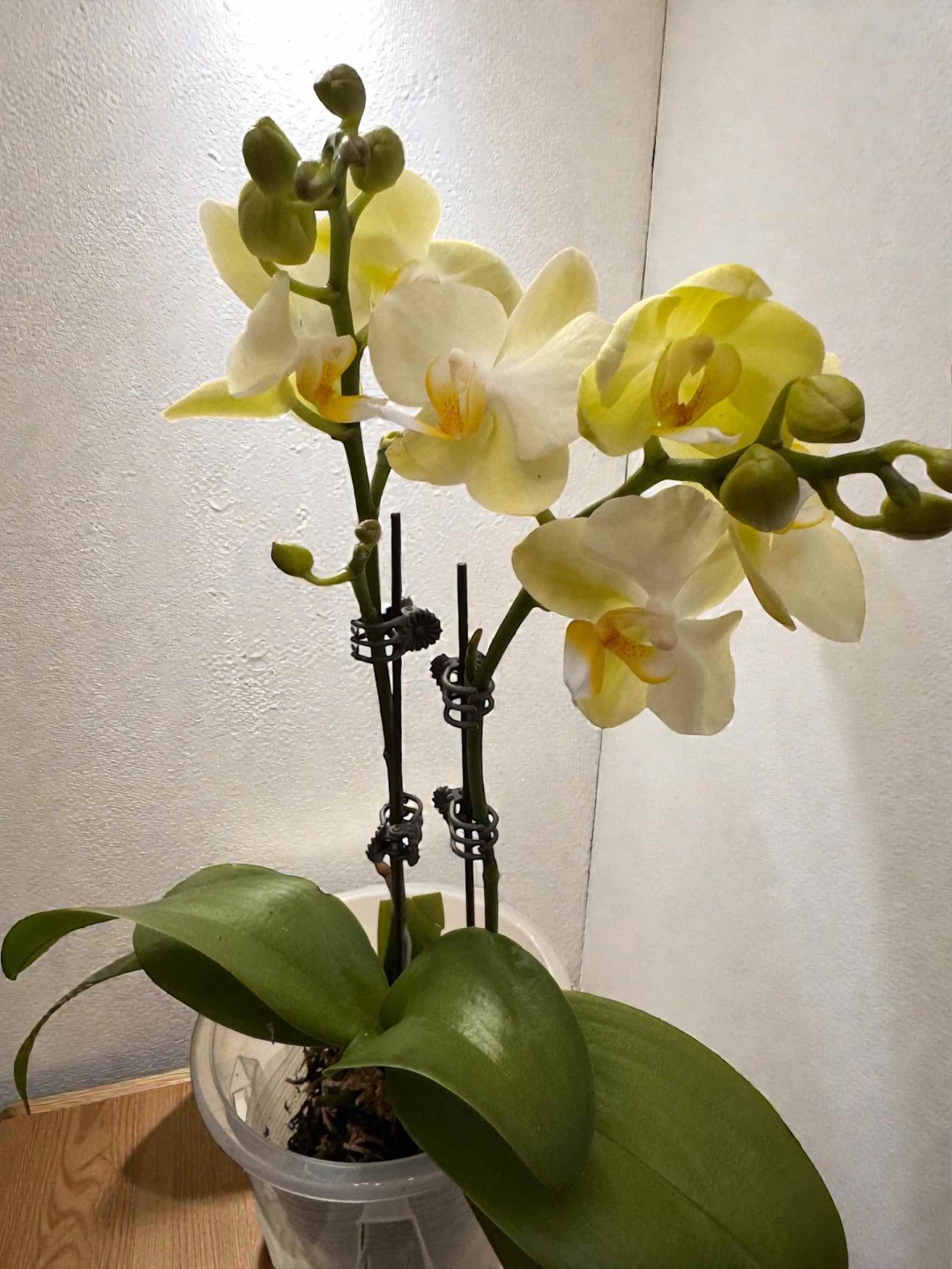 Фото 3
