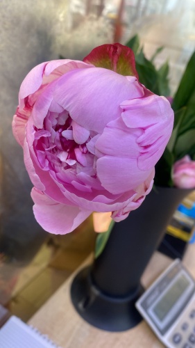 Фото 4